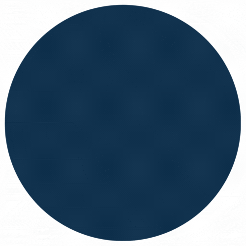 ExtenderX – Accessibility, Block Animations & Site Enhancements