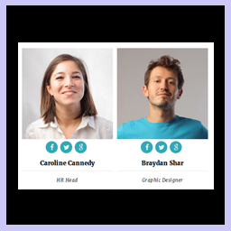Team Showcase – Responsive Team Members Grid, Slider & Carousel Plugin